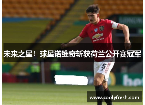 未来之星!球星诺维奇斩获荷兰公开赛冠军